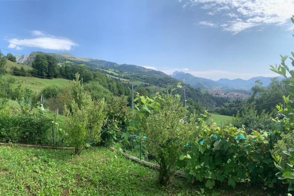 Residenza Fornaro Villa Premolo Esterno foto
